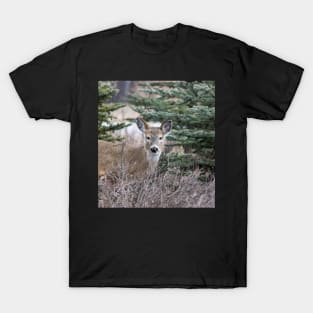White tailed deer T-Shirt